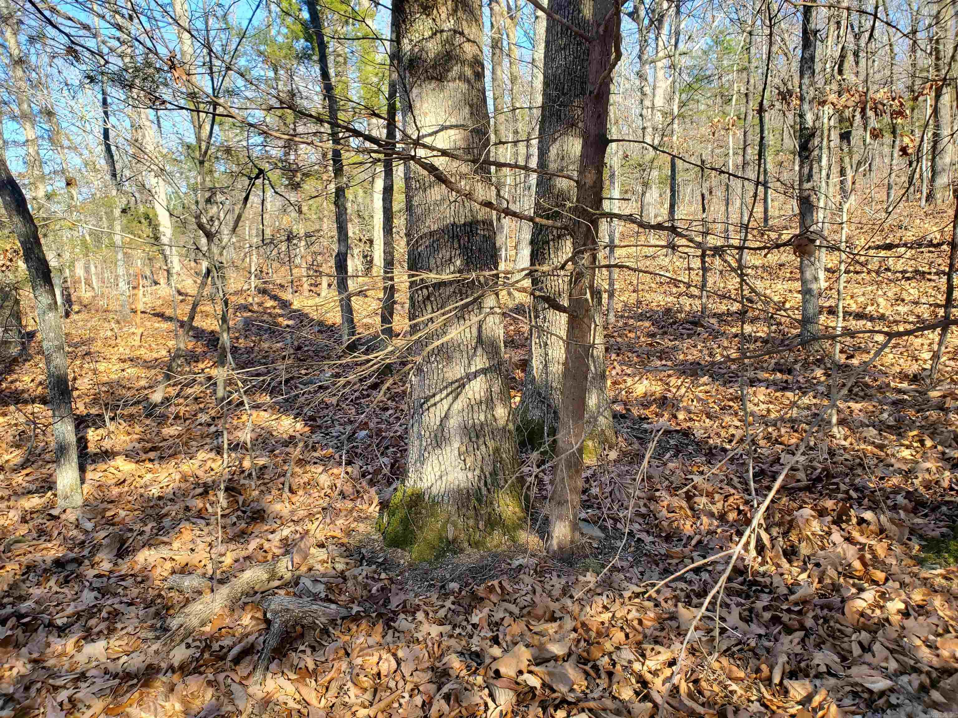 Metes & Bounds - Land