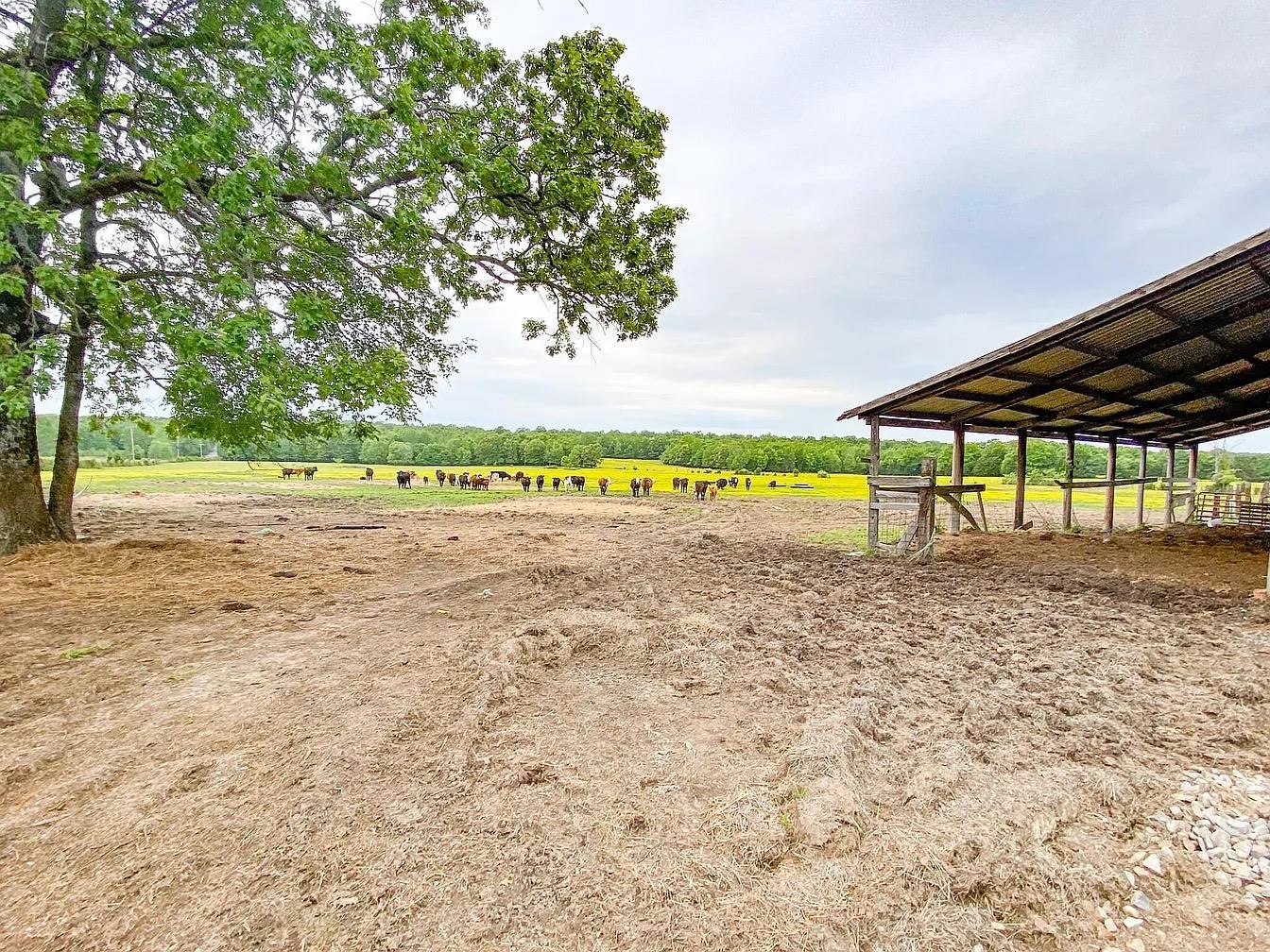 Metes & Bounds - Land