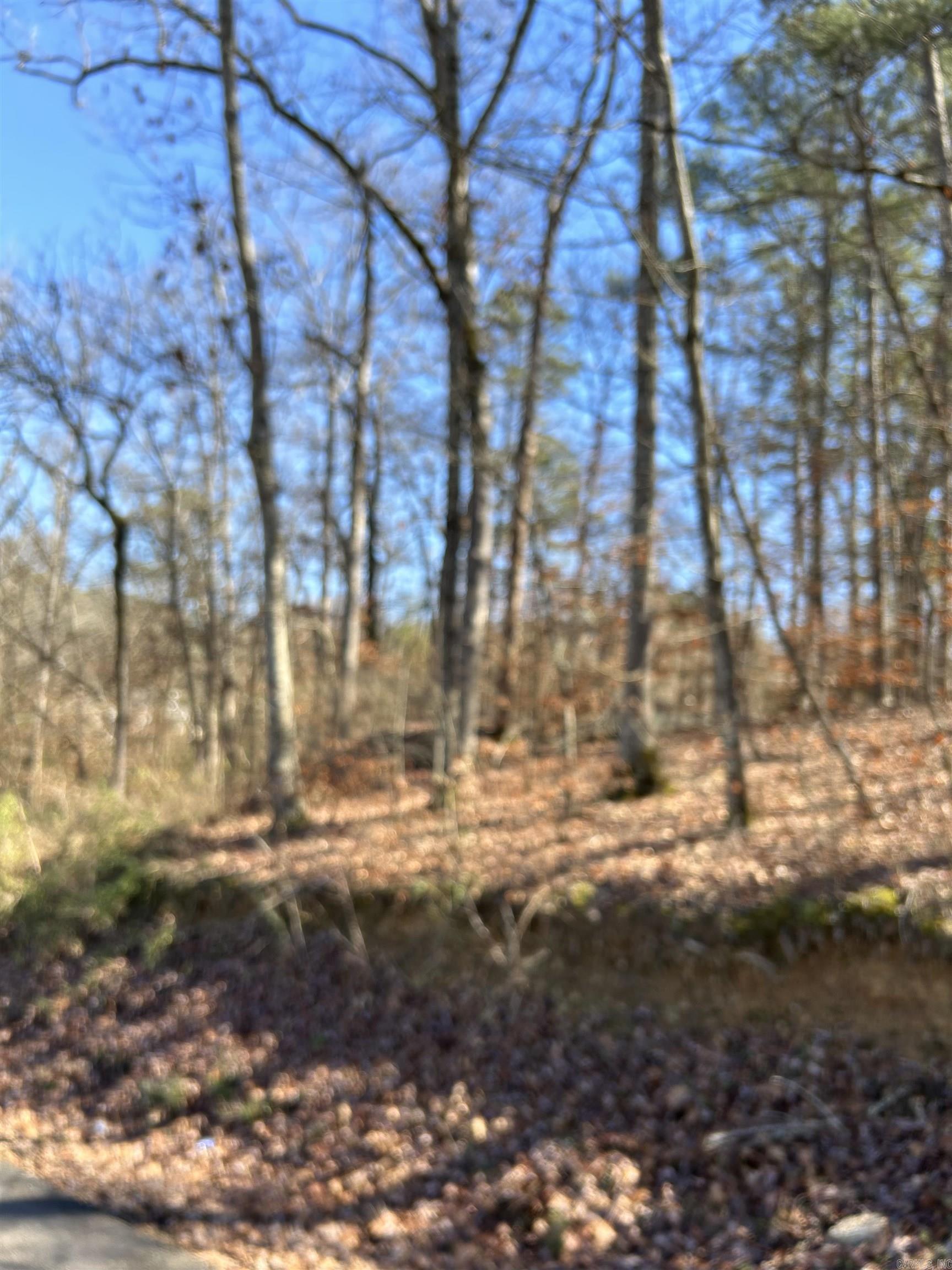 Lake Hamilton Shores #1 - Land