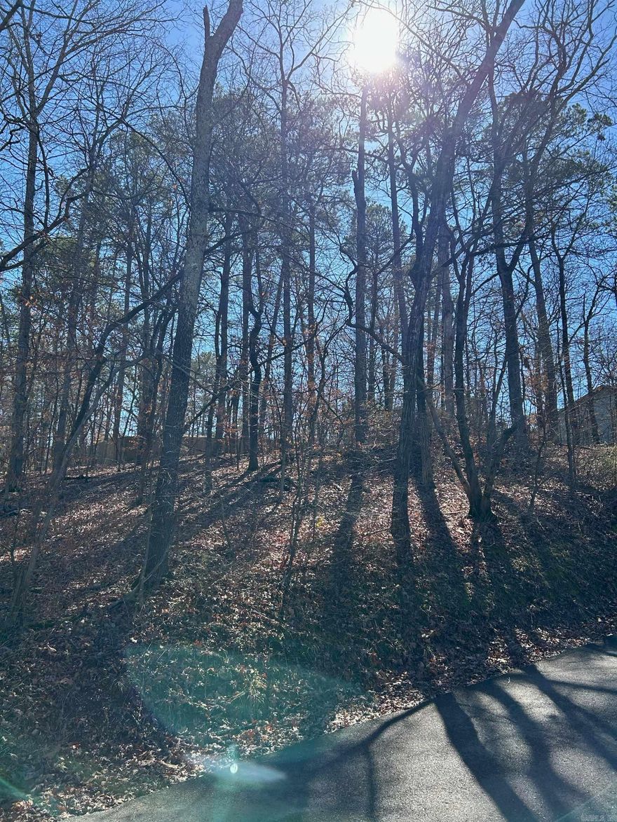 0.0944 ACRE WOODED, SLOPED LOT IN LAKE HAMILTON SHORES UNIT 1 SUBDIVISION.  YEARLY POA DUES OF $50 WITH ONE-TIME INITIAL DUES OF $65 FOR NEW MEMBERS.  POA DUES ARE OPTIONAL BUT ARE REQUIRED FOR ACCESS TO THE TWO PARKS IN THE SUBDIVISION.  ONE PARK FEATURES A BOAT RAMP AND DOCK AREA WITH GRILLS AND PICNIC TABLES AND THE OTHER PARK FEATURES A SWIM DOCK WITH GRILLS AND PICNIC TABLES.  BOTH PARKS HAVE BEEN RECENTLY RENOVATED. SHORT TERM RENTALS ARE ALLOWED.   ELECTRIC: ENTERGY GAS: SUMMIT WATER/SEWER: HOT SPRINGS MUNICIPAL