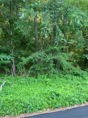 105 TANGLEWOOD DR, MONTICELLO, AR 71655 - Image ab8b5c9b3aed7dbf47fd8d718aa73f9e/189703362