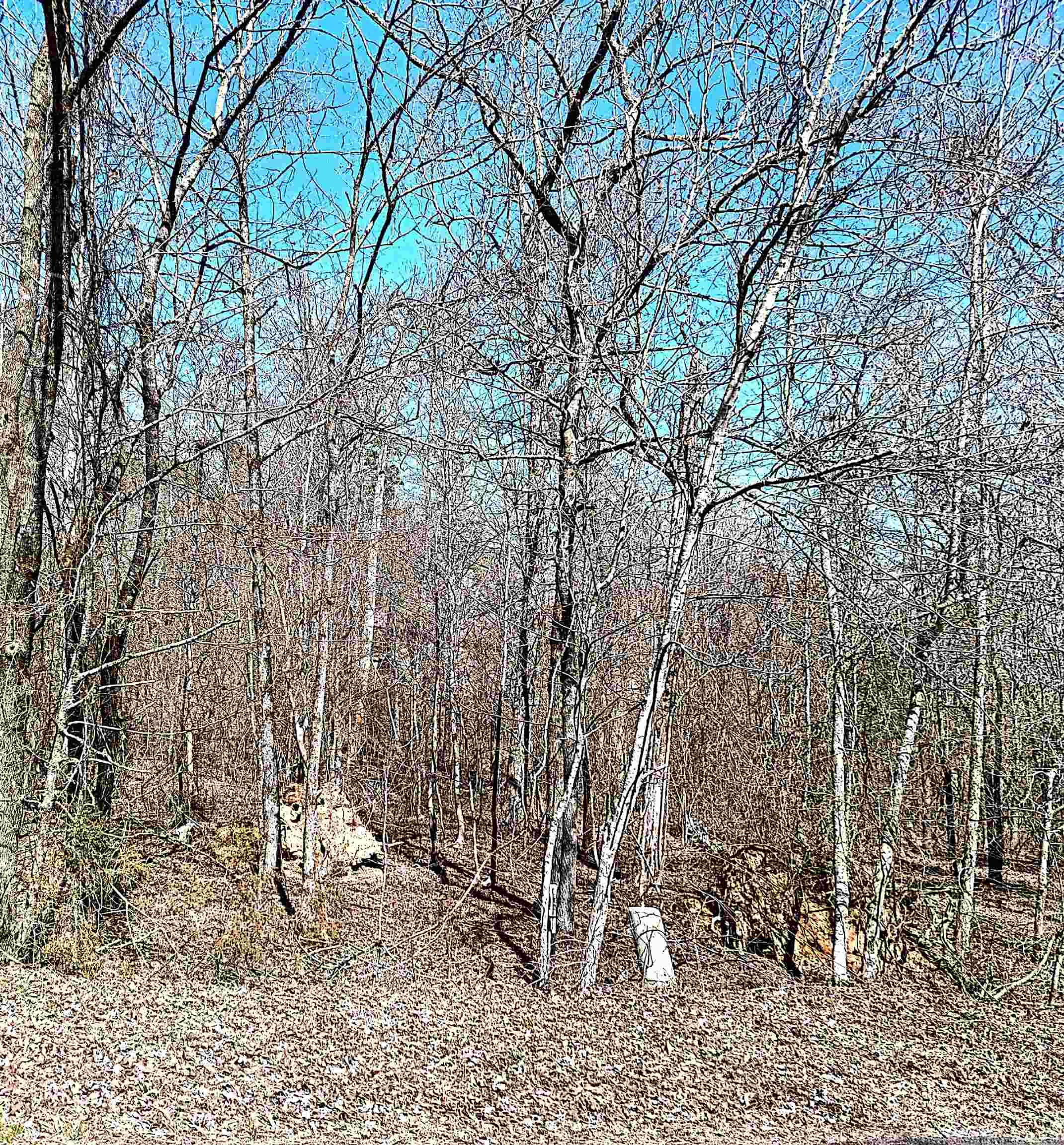A blank canvas awaits! This vacant land is perfect for building your dream home, starting a business, or making an investment. It's in a peaceful area with easy access to golf courses, lakes, and restaurants.