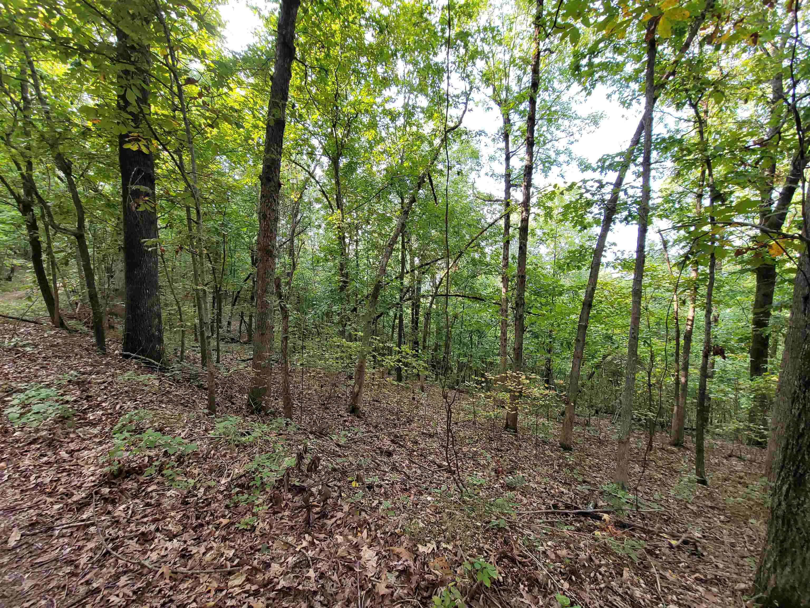 Metes & Bounds - Land