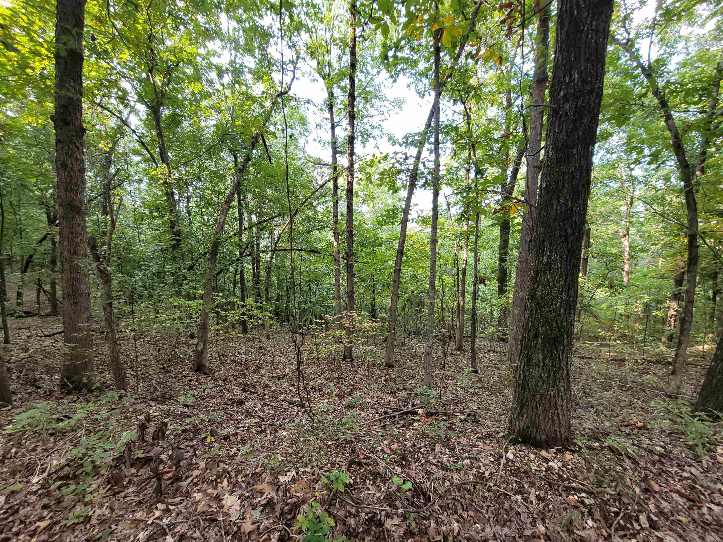 Metes & Bounds - Land