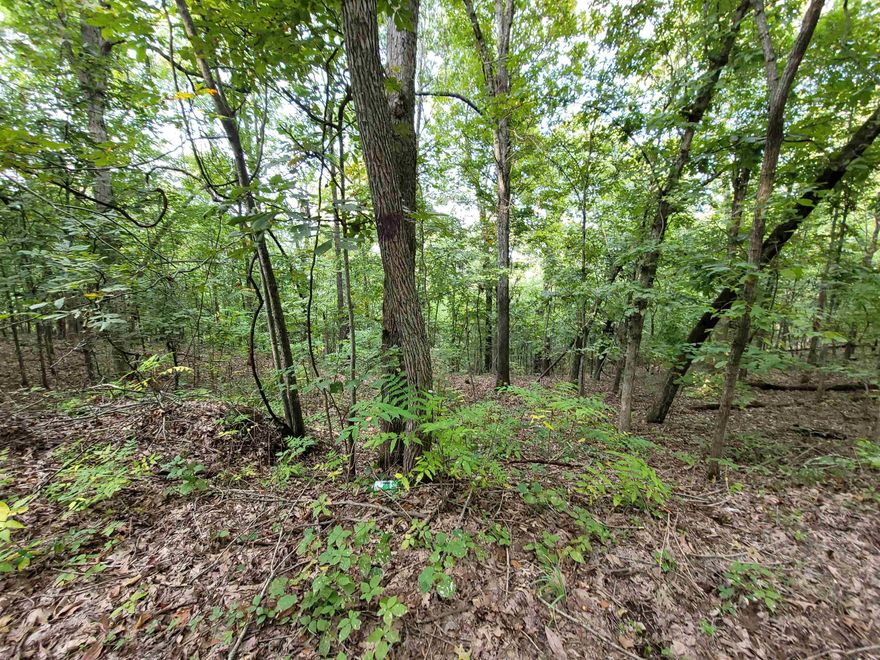 Great property on Falling Tree Ln in Flippin AR on 10 acres. Parcel # 001-00378-008 in Marion County