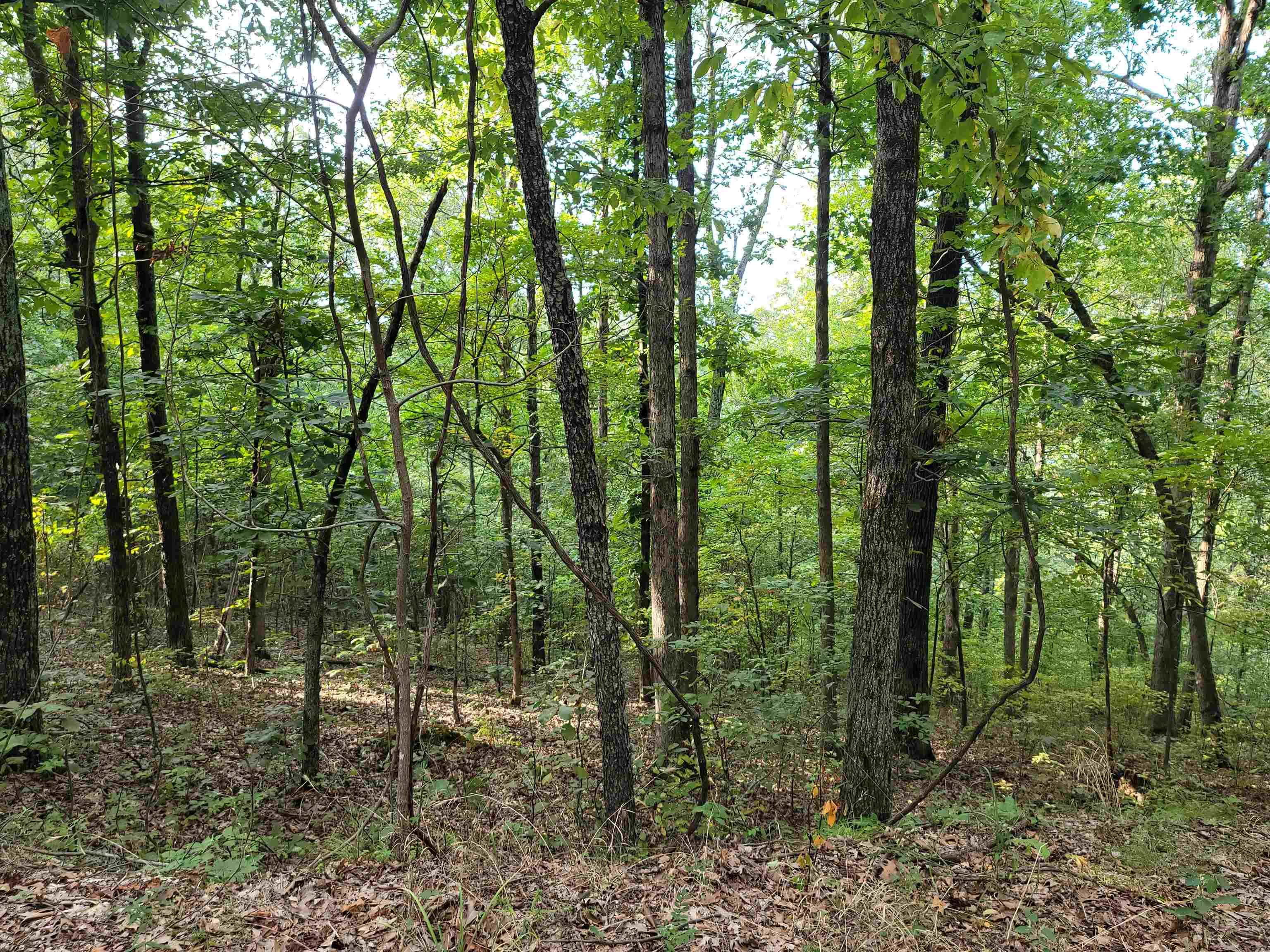 Metes & Bounds - Land