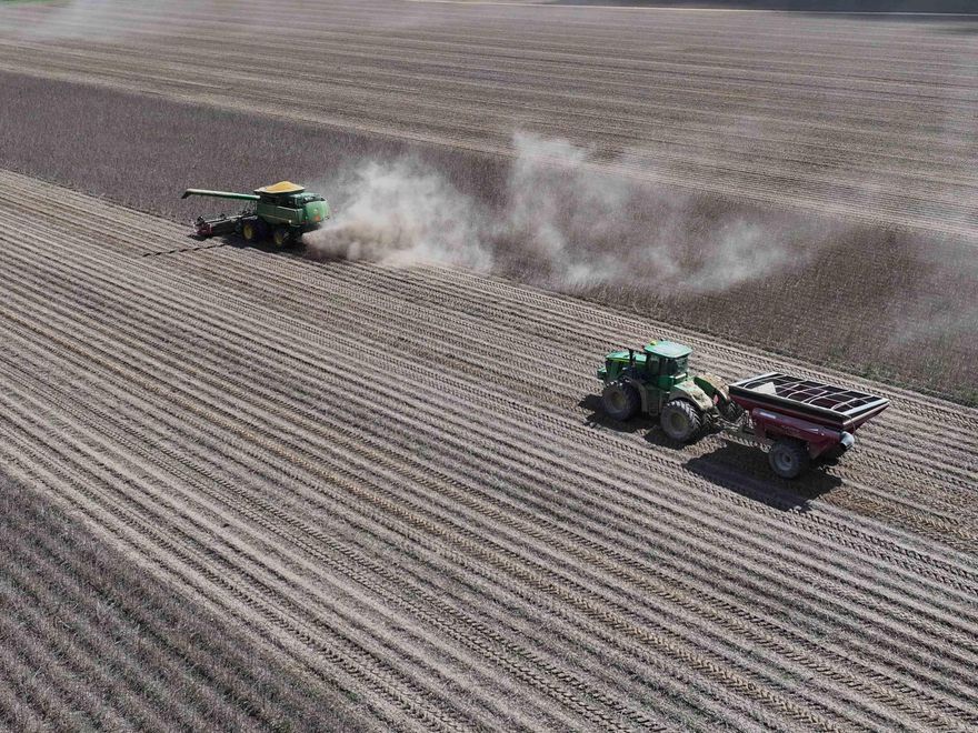 288 acre farm for sale in southern Phillips County near the town of Crumrod, this expansive property presents an excellent opportunity for agricultural investment. The farm is unimproved, offering a blank slate for development and continued row crop production. FSA shows the farm as 279.4 acres of total cropland. The farm consists of 100% Sharkey Silty Clay. This property is well-suited for row crops such as soybeans, rice and cotton. Its prime location in a thriving agricultural area ensures strong potential for productivity and long-term value.