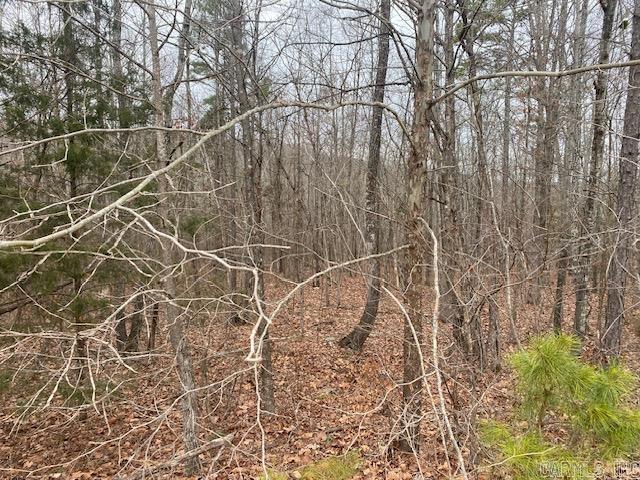 Holley Mountain Airpark - Land