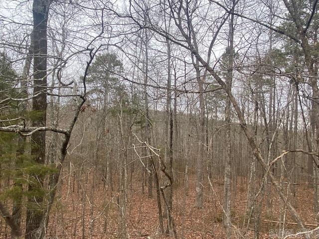 Holley Mountain Airpark - Land