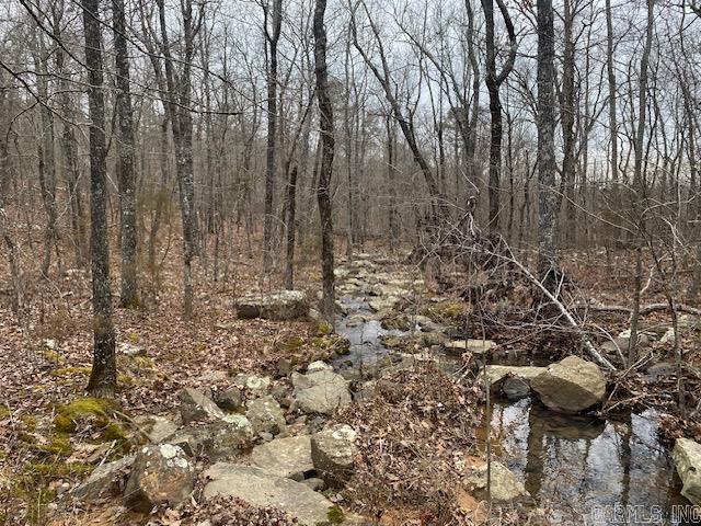 Holley Mountain Airpark - Land
