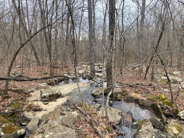 Holley Mountain Airpark - Land