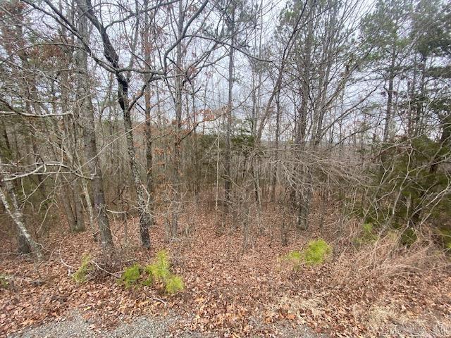 Holley Mountain Airpark - Land