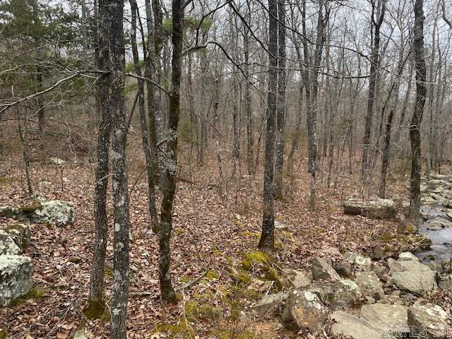 Holley Mountain Airpark - Land