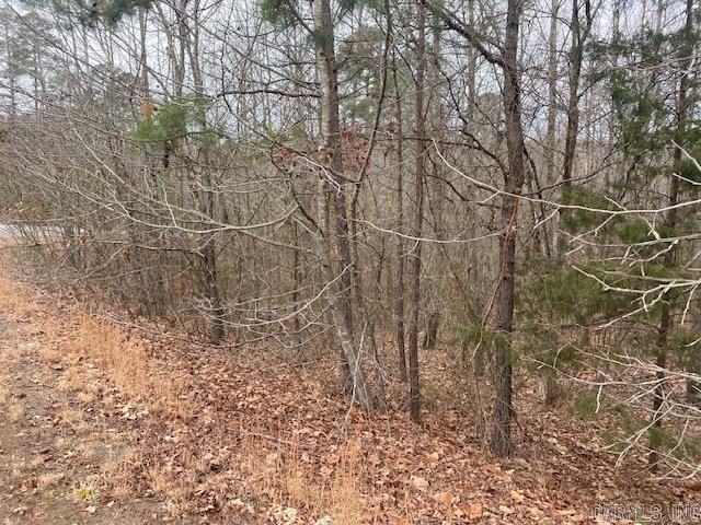 Holley Mountain Airpark - Land