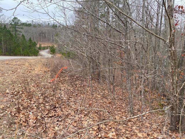 Holley Mountain Airpark - Land