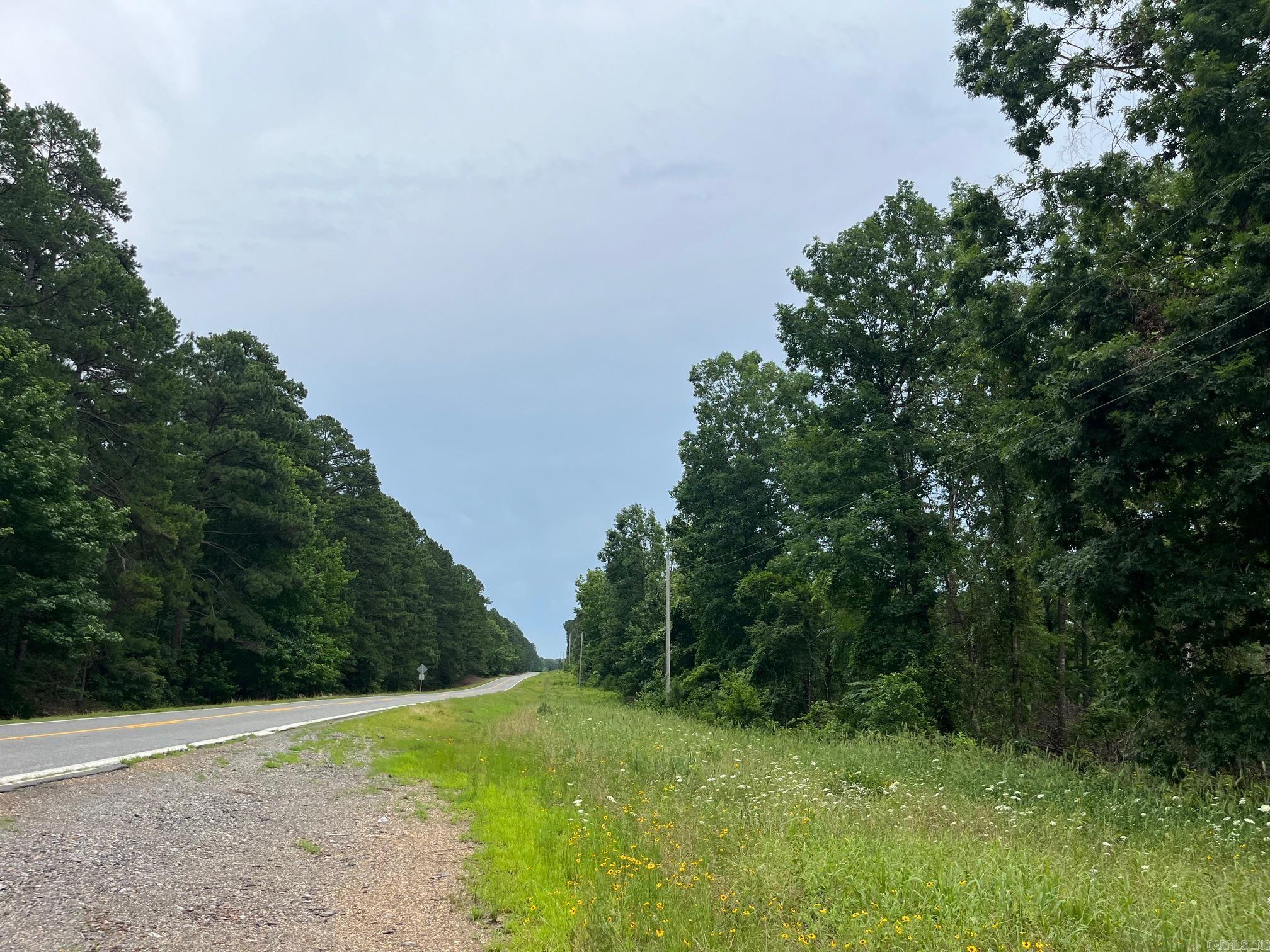 This 9+/- acre tract in Clark County has frontage along Highway 84 with electricity, fiber internet, and municipal water. The pine timber was recently harvested leaving the hardwoods which make the property ideal for rural residential with mountains in the backdrop. Hunt or ride trails right out your back door. The property is near Point Cedar, between Amity and Bismarck. (survey pending)