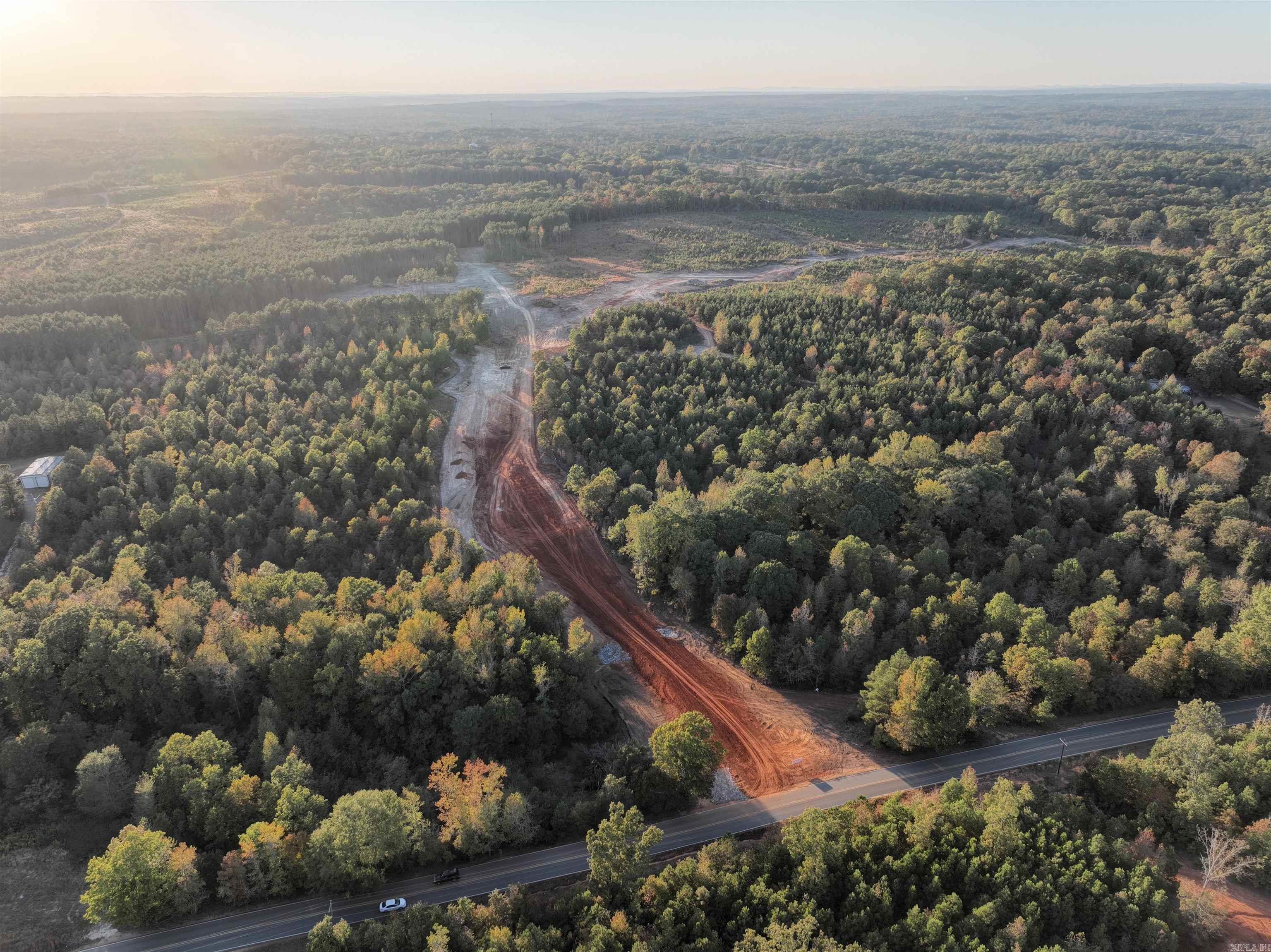 Mountain Pine - Land