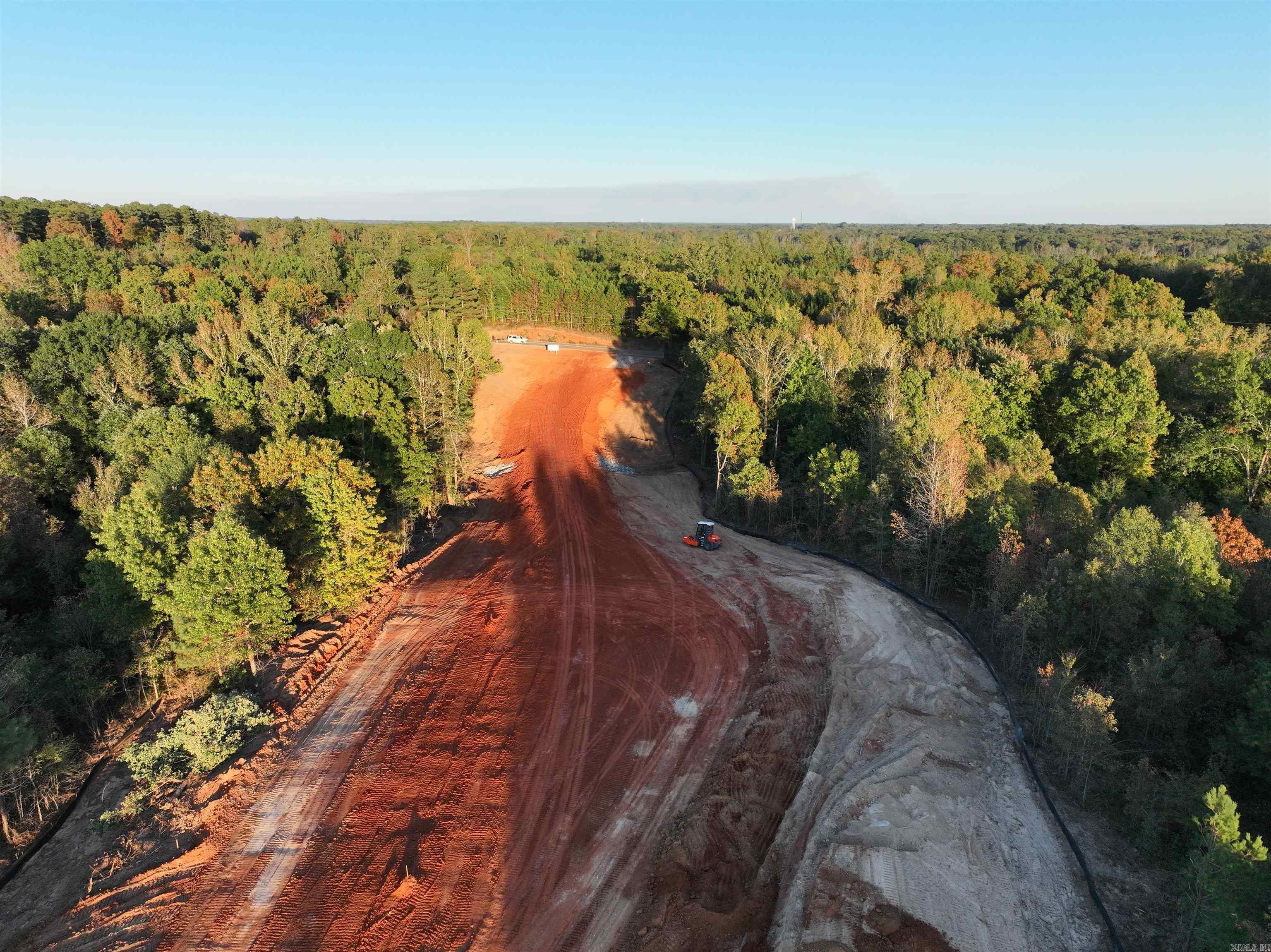 Mountain Pine - Land