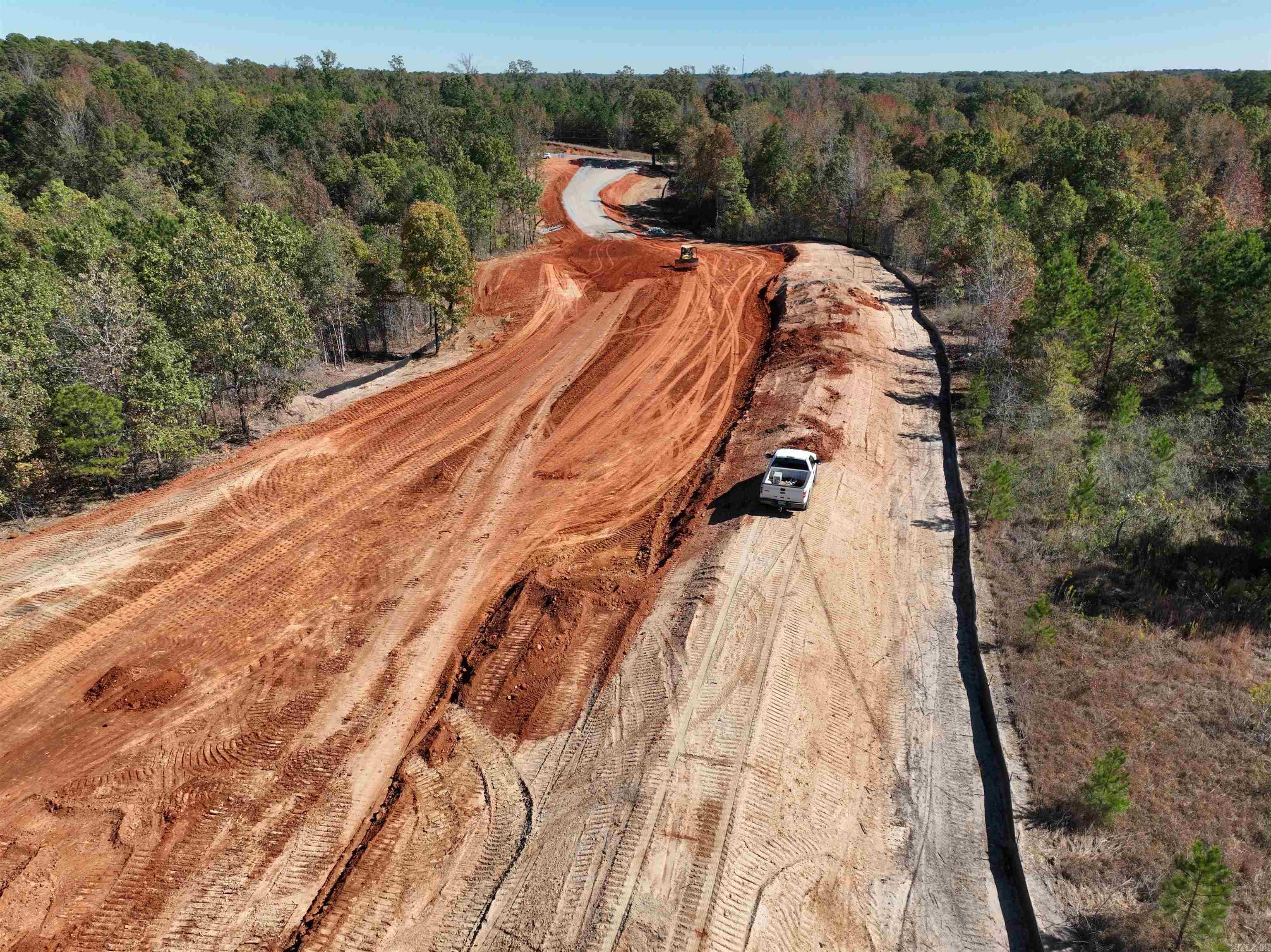 Mountain Pine - Land