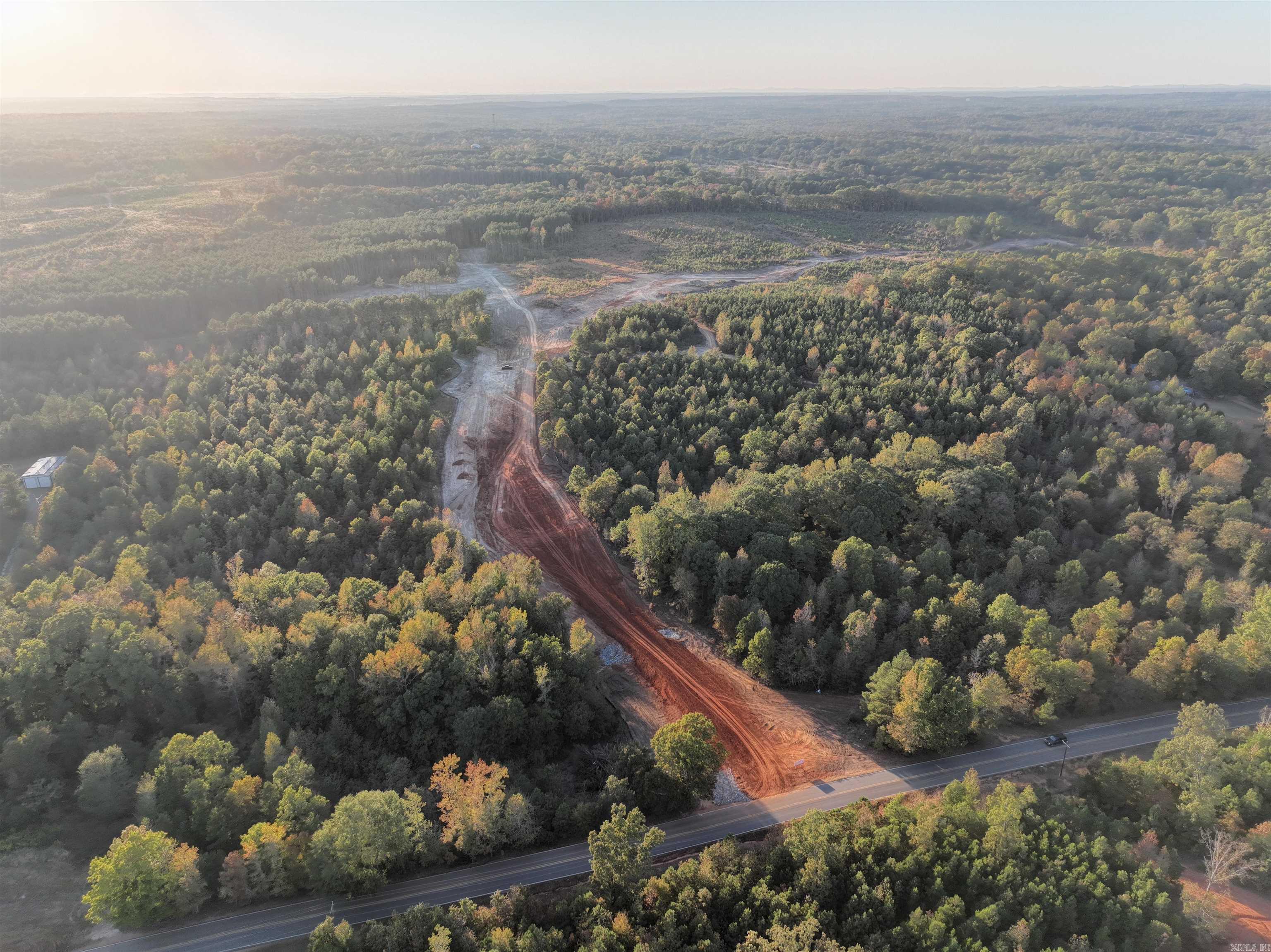 Mountain Pine - Land