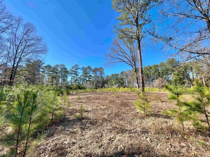 Get a head start with your custom build on this lovely residential lot! Tucked away from the bustle of town, the Southwood Subdivision offers a quiet retreat while still offering easy access to Camden and El Dorado.  This 2 acre lot offers city water and an electrical panel already established on the property.  A circular drive with culverts provide access to an ideal building site on the property.  There's also a fire hydrant and overhead light on lot 41 for added protection!  Surrounding homes have been custom built over the years with protective covenants in place to preserve a uniform feel to the neighborhood, with homes coming for sale in this subdivision with high desirability and low market times.