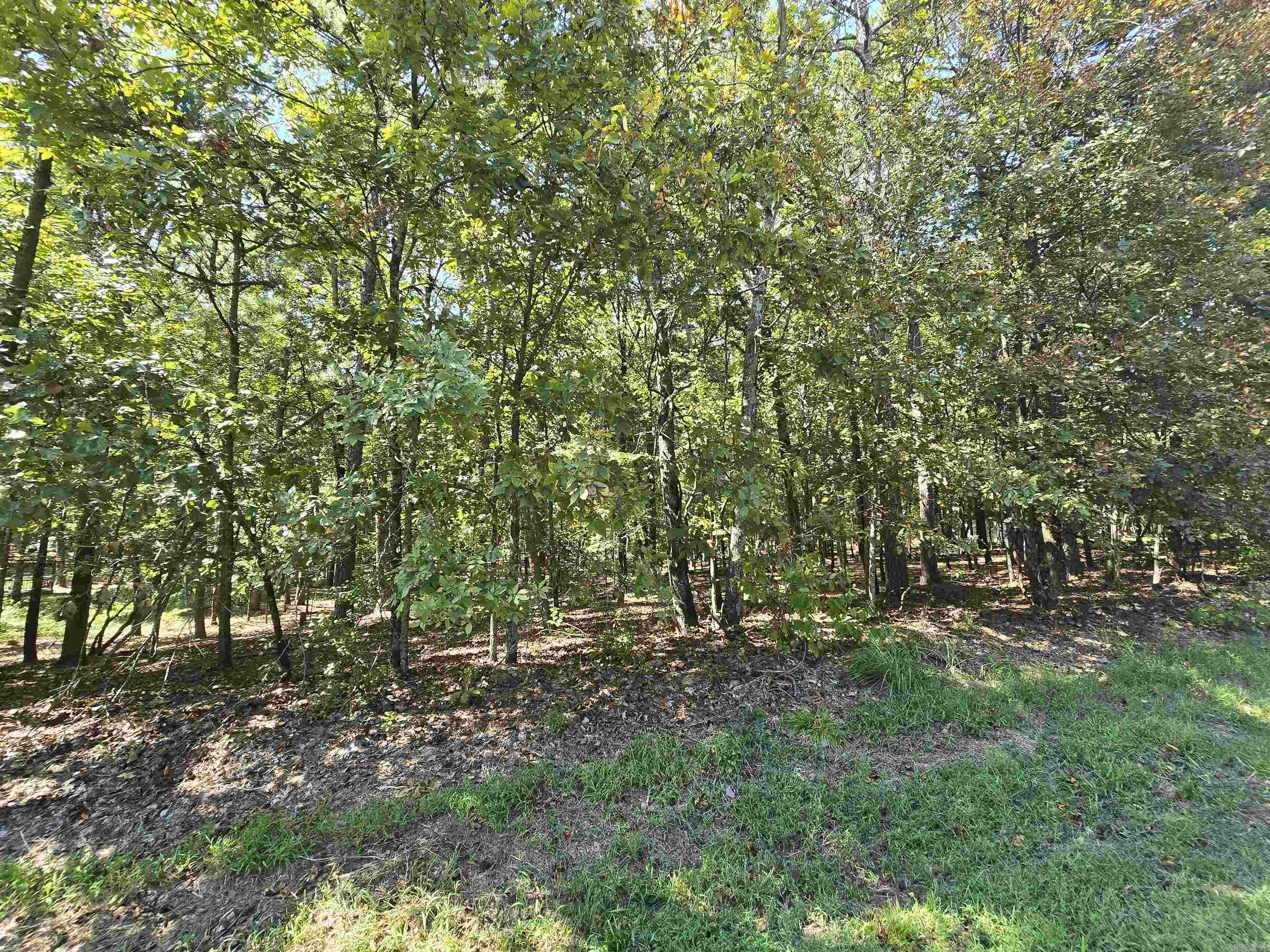 Discover the perfect opportunity to create your dream home or weekend getaway in the charming Ozark lake town of Fairfield Bay, Arkansas. This residential lot provides plenty of space to design and build the home you've always envisioned. Situated just minutes away from the Fairfield Bay Marina and Greers Ferry Lake, you'll have access to endless water-based activities such as boating, fishing, swimming, Fairfield Bay also offers 3 communities pools, mini golf, bowling, pickleball, tennis, restaurants, hundred miles of ATV & hiking/biking trails and so much more Embrace the tranquil atmosphere and breathtaking natural beauty of the Ozarks as you design you forever home or plan your weekend retreat. Don't miss out on the chance to be part of this lake town community, where the beauty of nature merges seamlessly with modern amenities and a relaxed lifestyle.