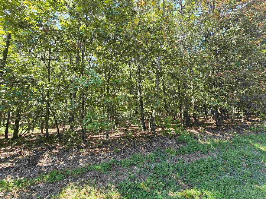Discover the perfect opportunity to create your dream home or weekend getaway in the charming Ozark lake town of Fairfield Bay, Arkansas. This residential lot provides plenty of space to design and build the home you've always envisioned. Situated just minutes away from the Fairfield Bay Marina and Greers Ferry Lake, you'll have access to endless water-based activities such as boating, fishing, swimming, Fairfield Bay also offers 3 communities pools, mini golf, bowling, pickleball, tennis, restaurants, hundred miles of ATV & hiking/biking trails and so much more Embrace the tranquil atmosphere and breathtaking natural beauty of the Ozarks as you design you forever home or plan your weekend retreat. Don't miss out on the chance to be part of this lake town community, where the beauty of nature merges seamlessly with modern amenities and a relaxed lifestyle.