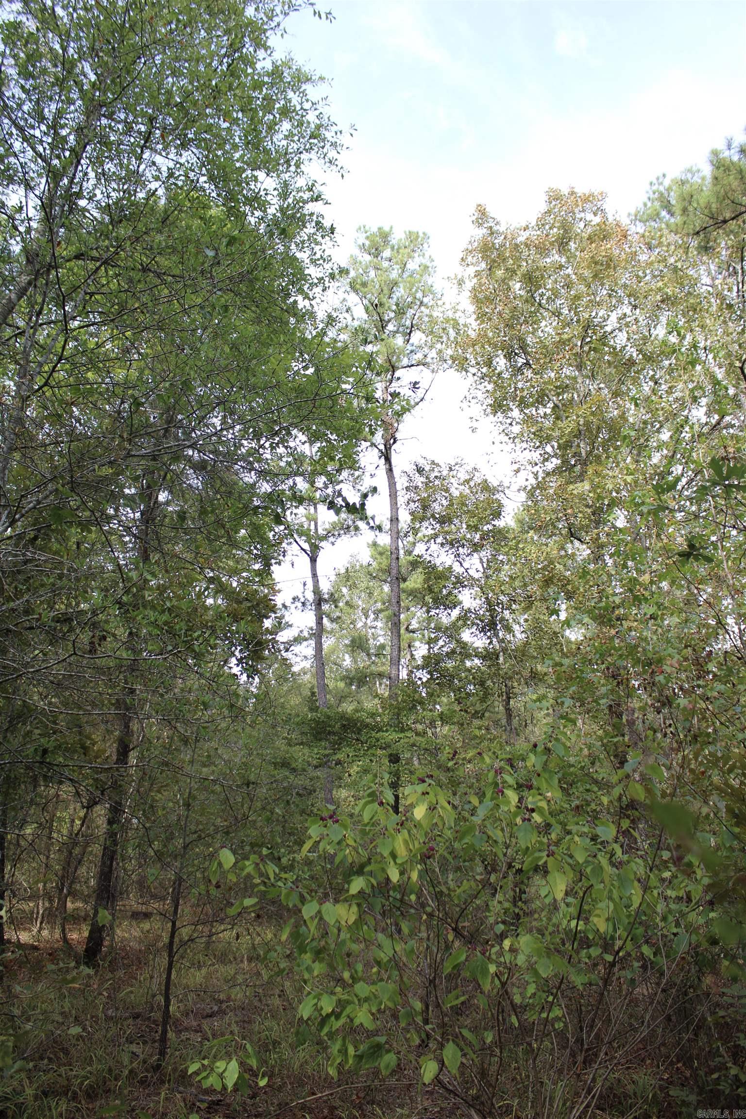 Not in Subdivision - Land