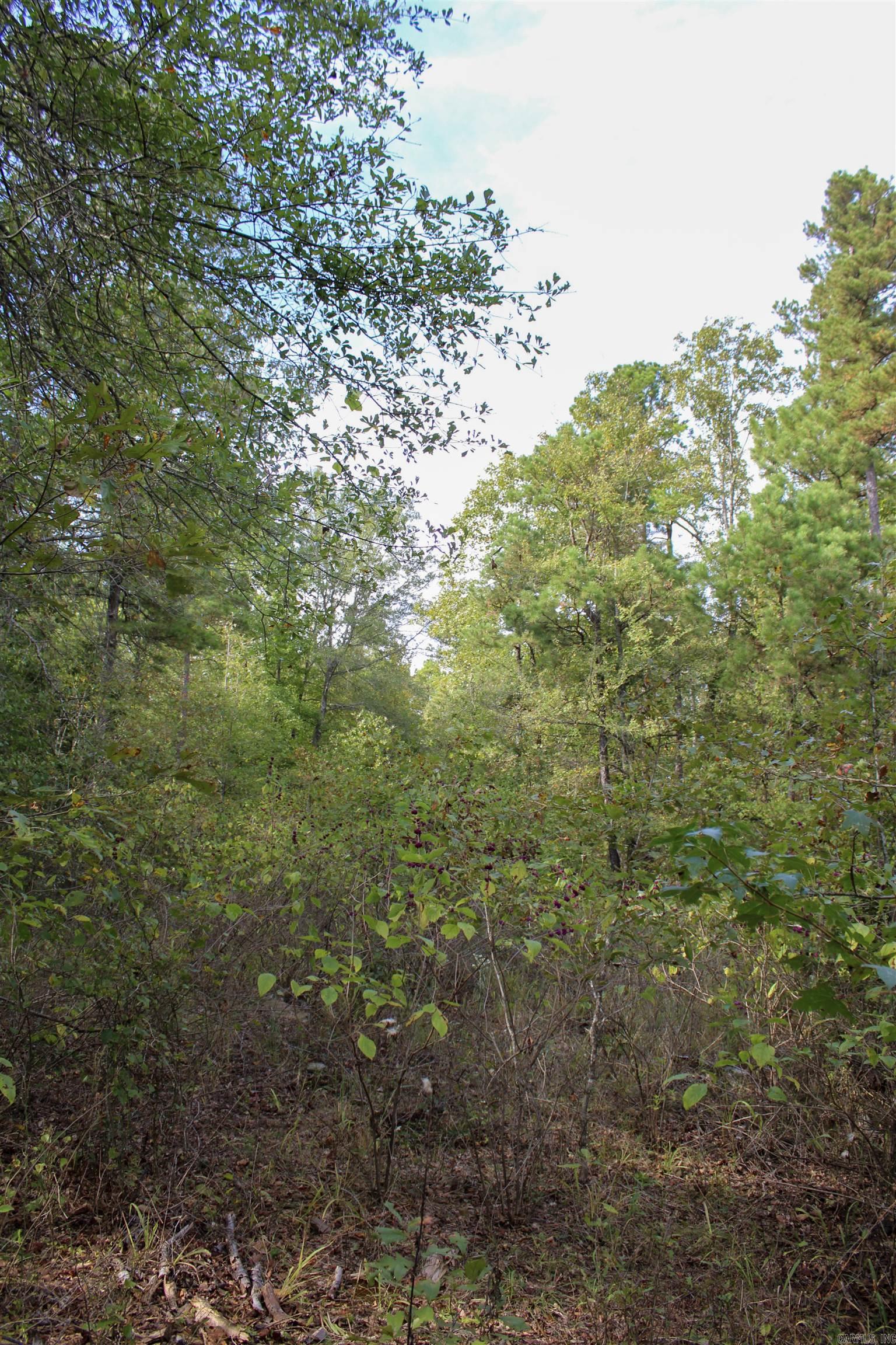 Not in Subdivision - Land