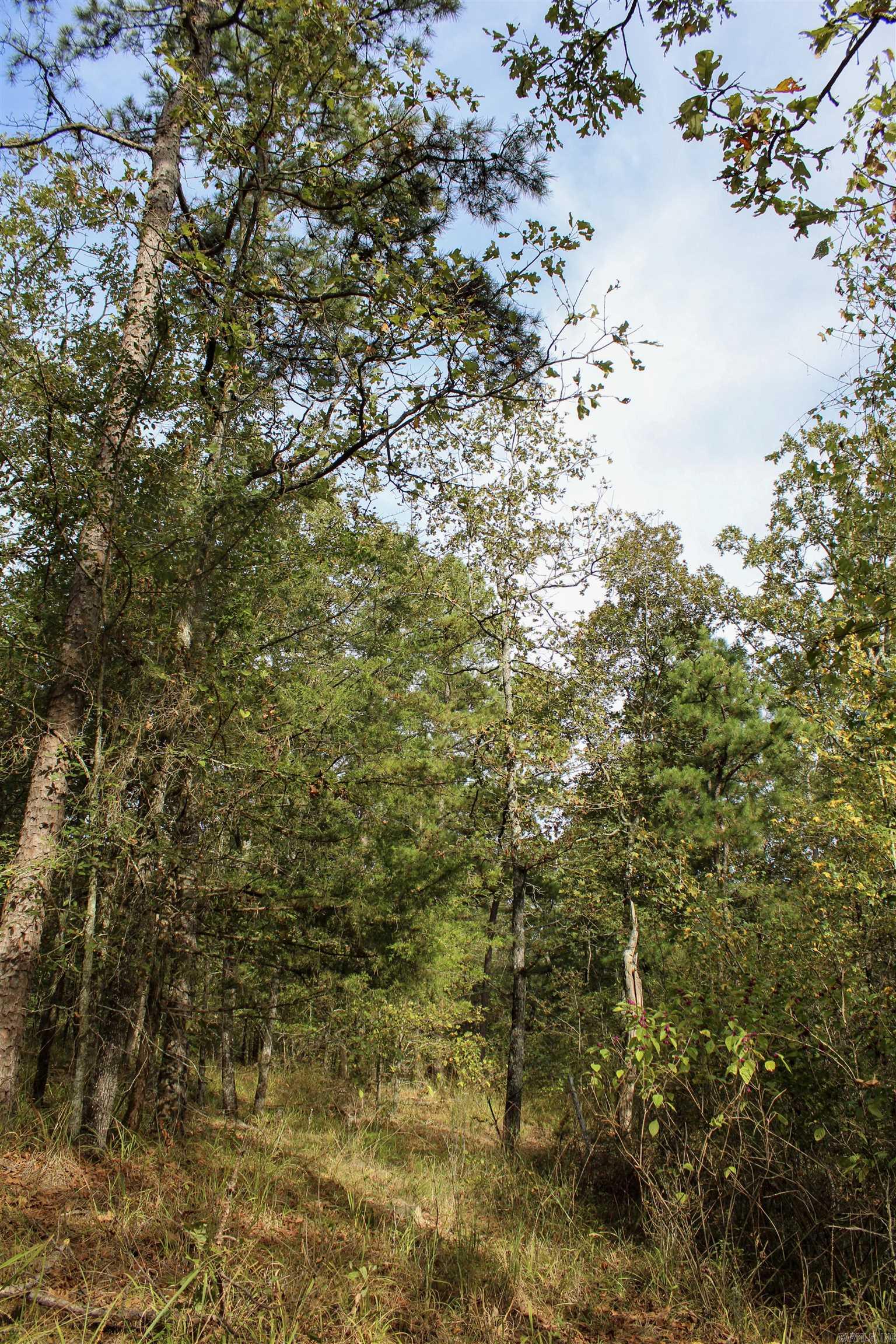 Not in Subdivision - Land