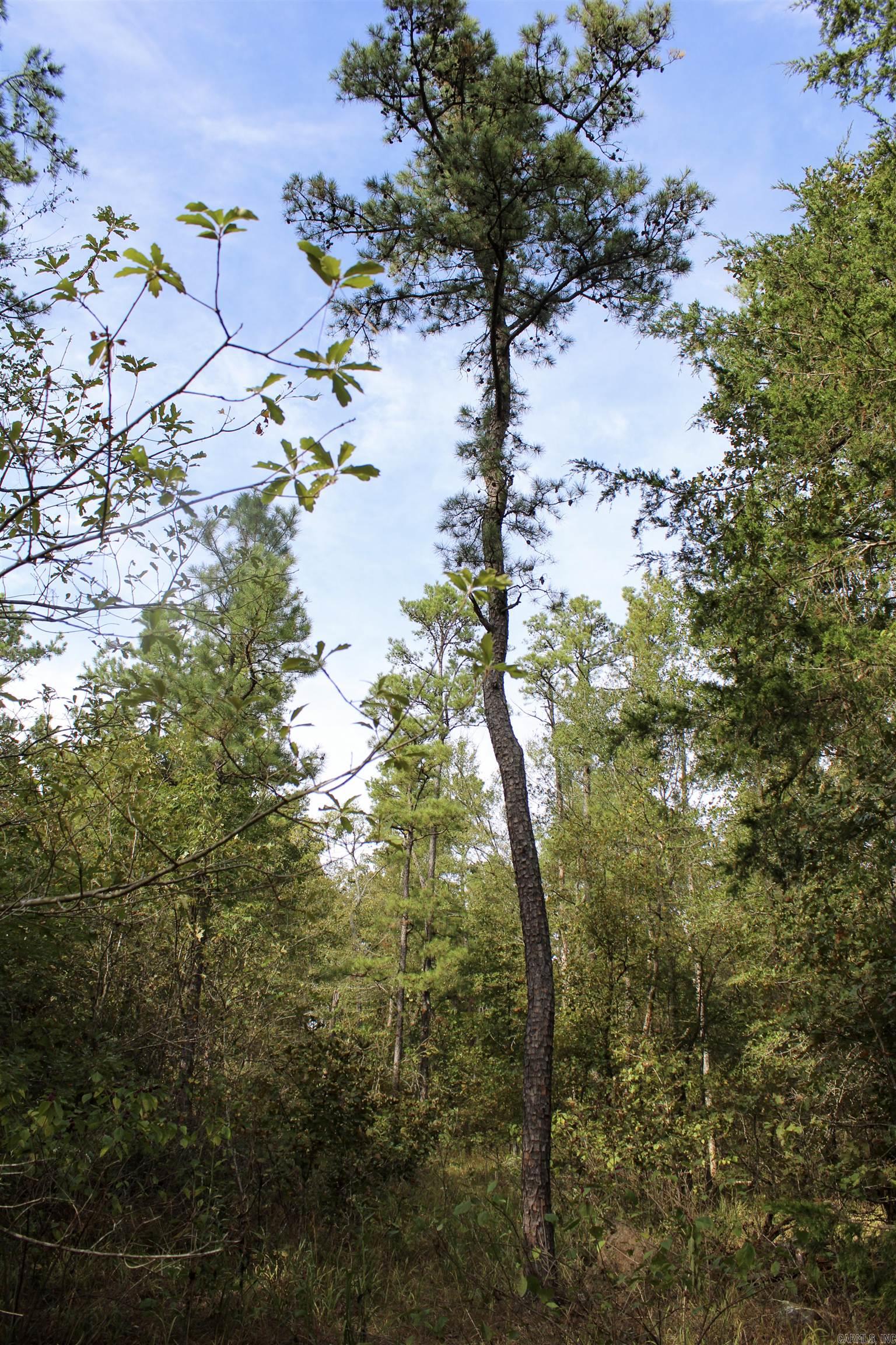 Not in Subdivision - Land