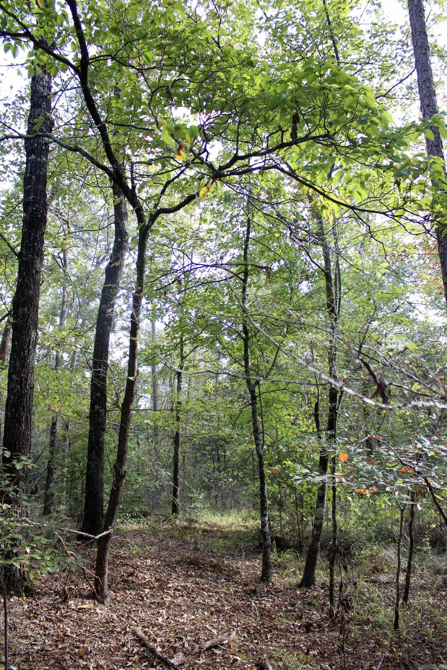 Not in Subdivision - Land