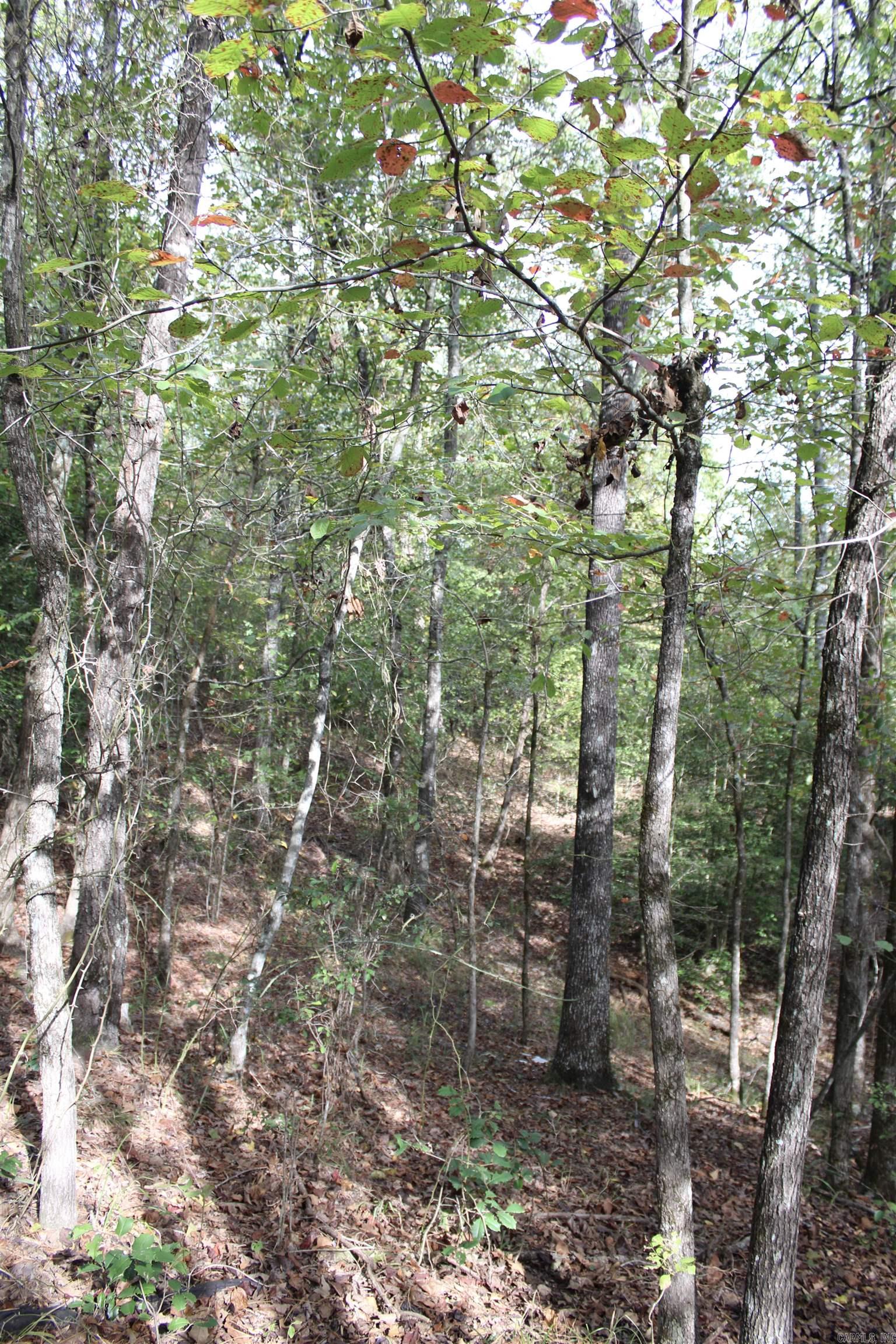 Not in Subdivision - Land