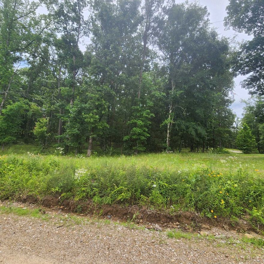 5 Acre Lot for sale by owner.
