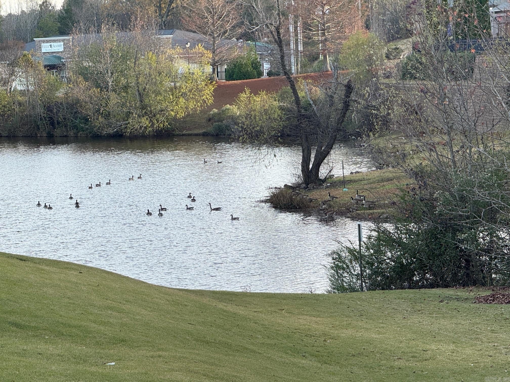 THE VILLAGES OF WELLINGTON - Residential