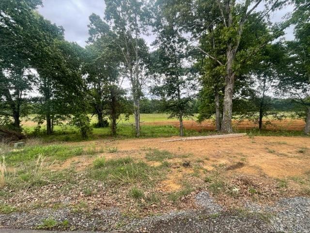 New subdivision in Greenbrier. Large mature trees on this lot. 1800 sq ft minimum