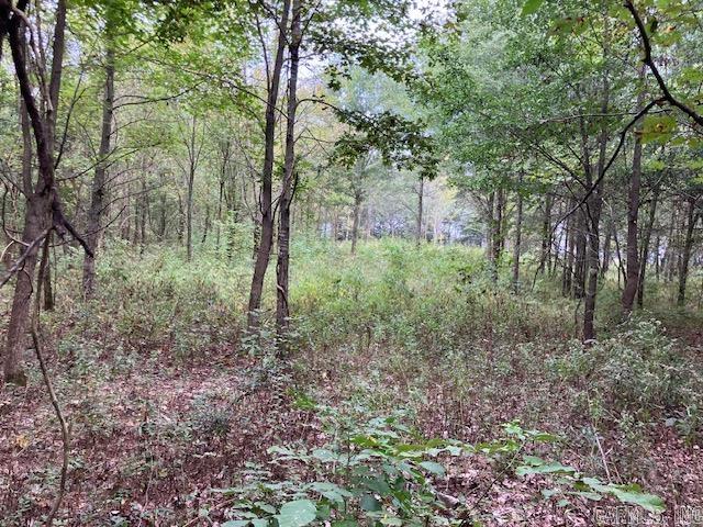 Randolph County - Land