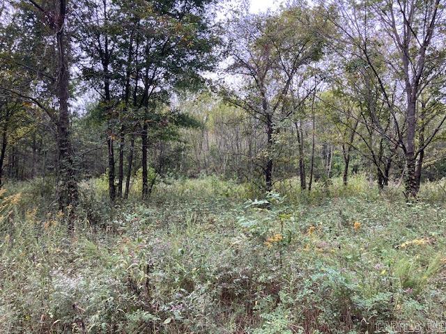 Randolph County - Land