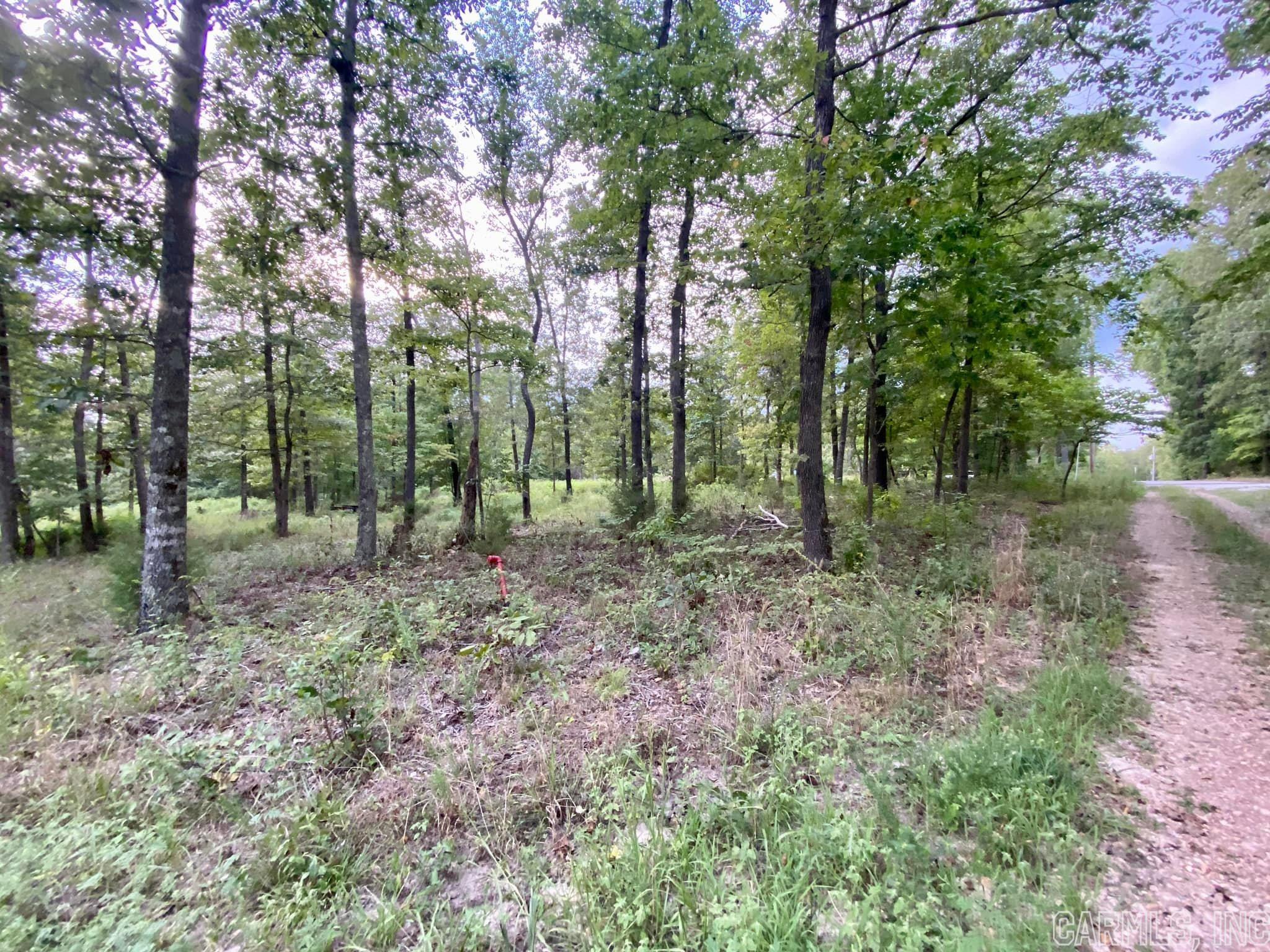 Fifty Six Acres - Residential