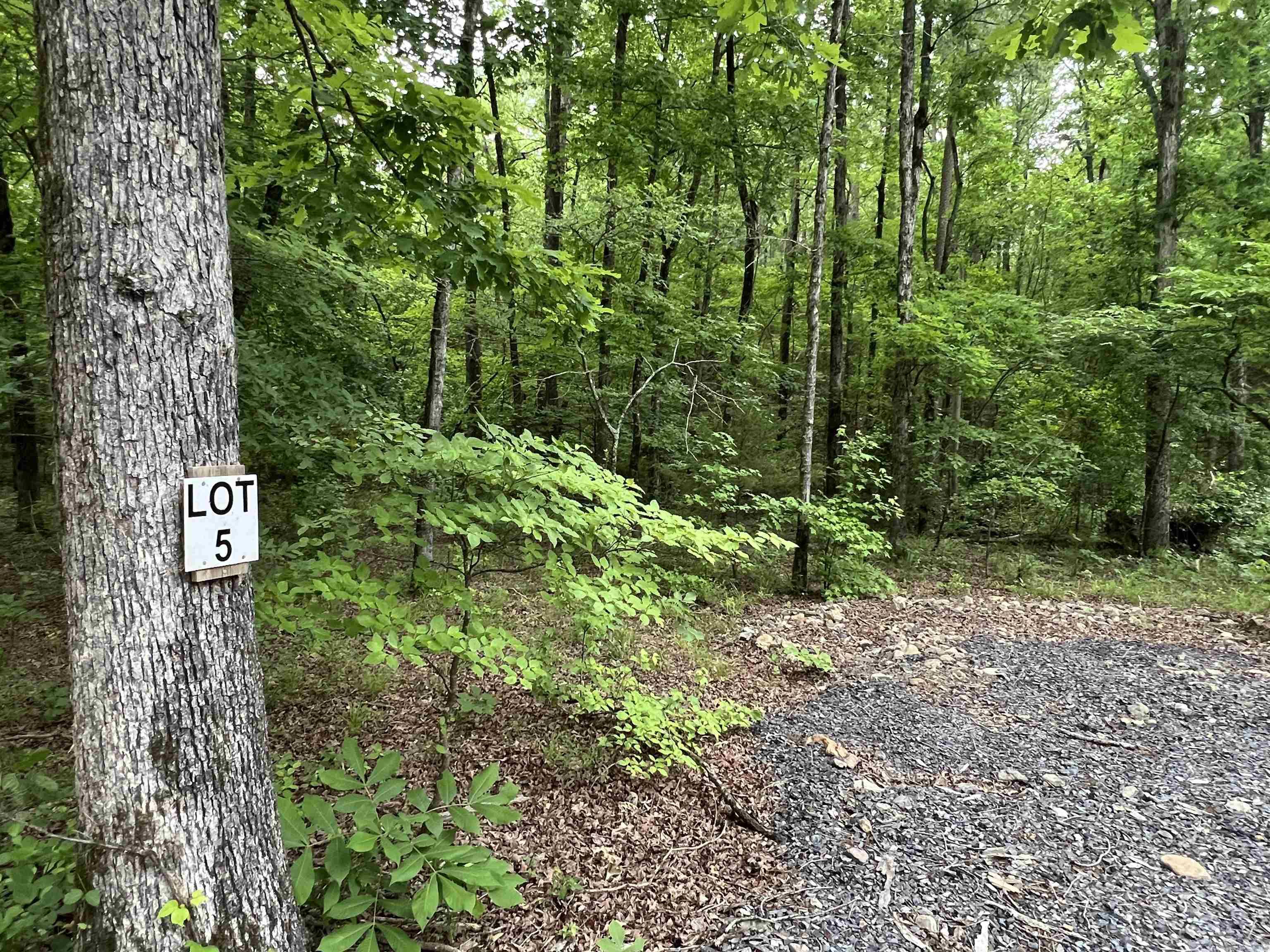 looking for a place to build? Located East of the Nunley area, this 5.7 acres of wooded property holds your next adventure. With electric and water already ran, you can start building your dream retreat right away! close to Wolfpen gap trails and 8 miles to Mena, this property won't last long! (more pictures to come) Let's Go Look