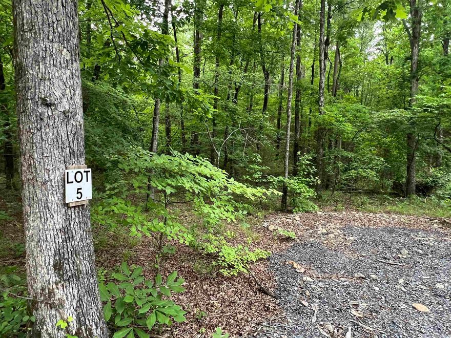 looking for a place to build? Located East of the Nunley area, this 5.7 acres of wooded property holds your next adventure. With electric and water already ran, you can start building your dream retreat right away! close to Wolfpen gap trails and 8 miles to Mena, this property won't last long! (more pictures to come) Let's Go Look