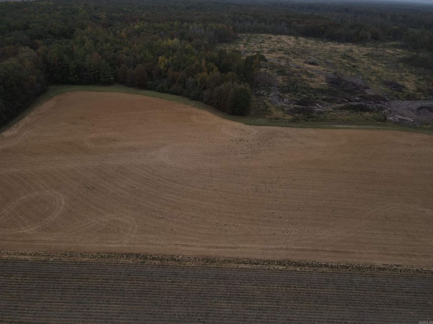 HUNTING TRACT WITH TILLABLE ACREAGE