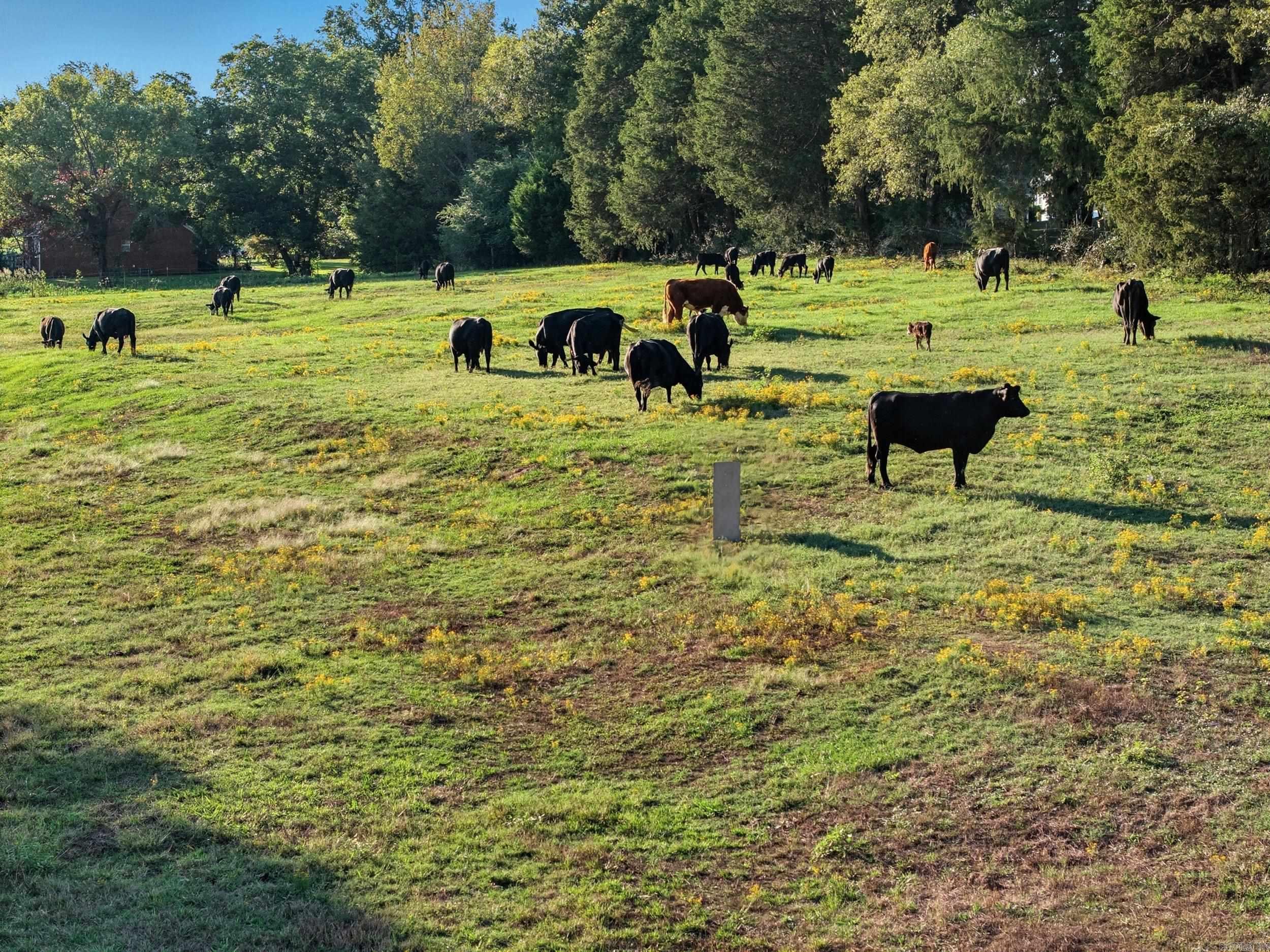 INDIAN SPRINGS - Residential