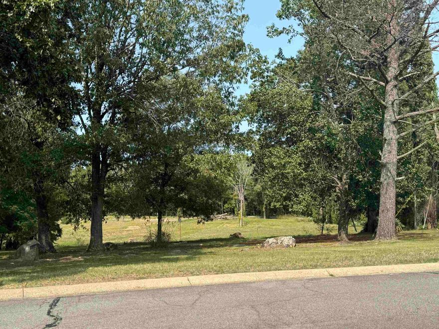 Build your perfect home on this great lot located in a welcoming subdivision just minutes from the Little Rock Air Force Base. Offering both convenience and comfort, local shopping, and is just a short 20 minute drive from downtown Little Rock.