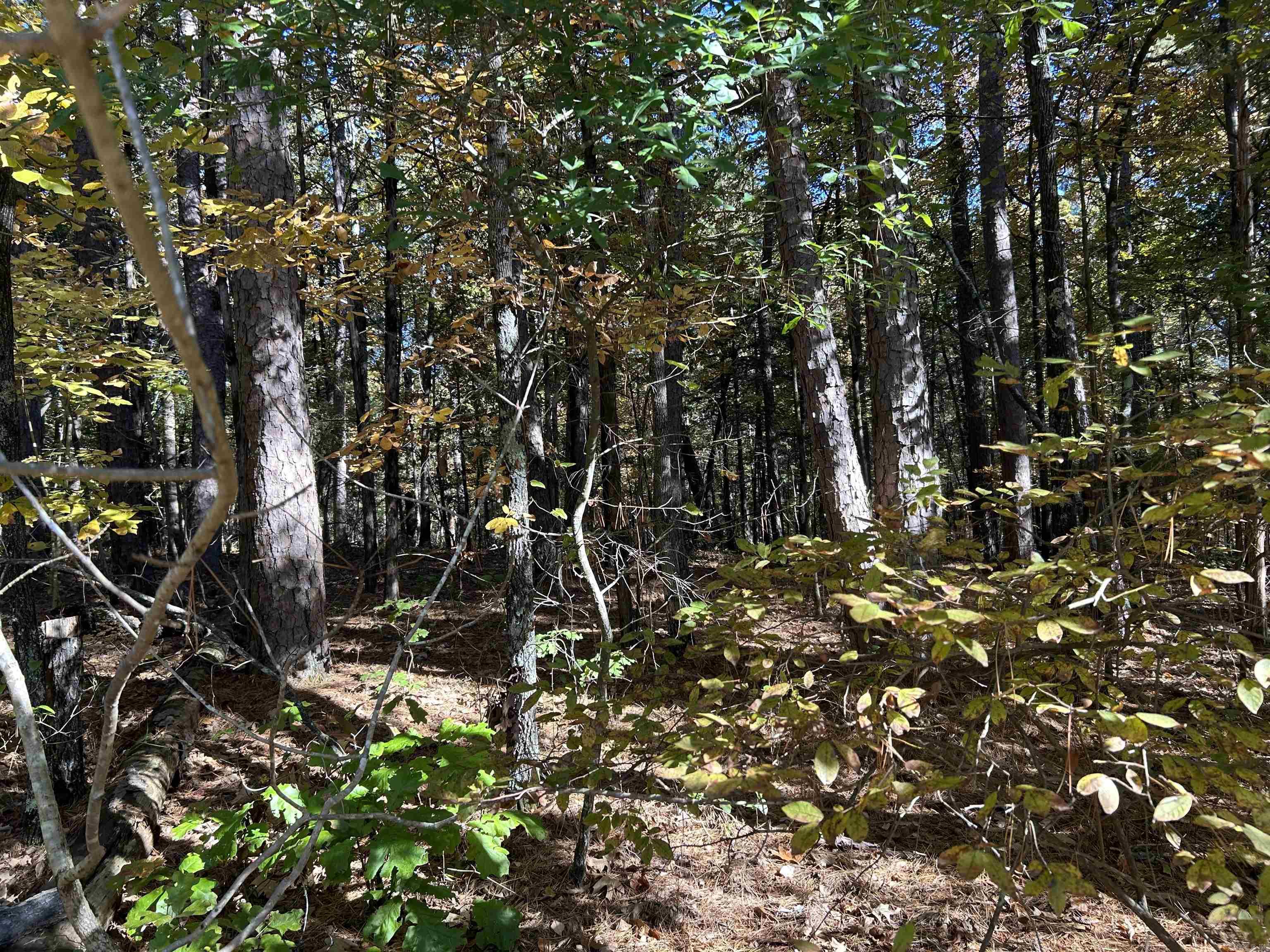 Hamiliton Hills - Land