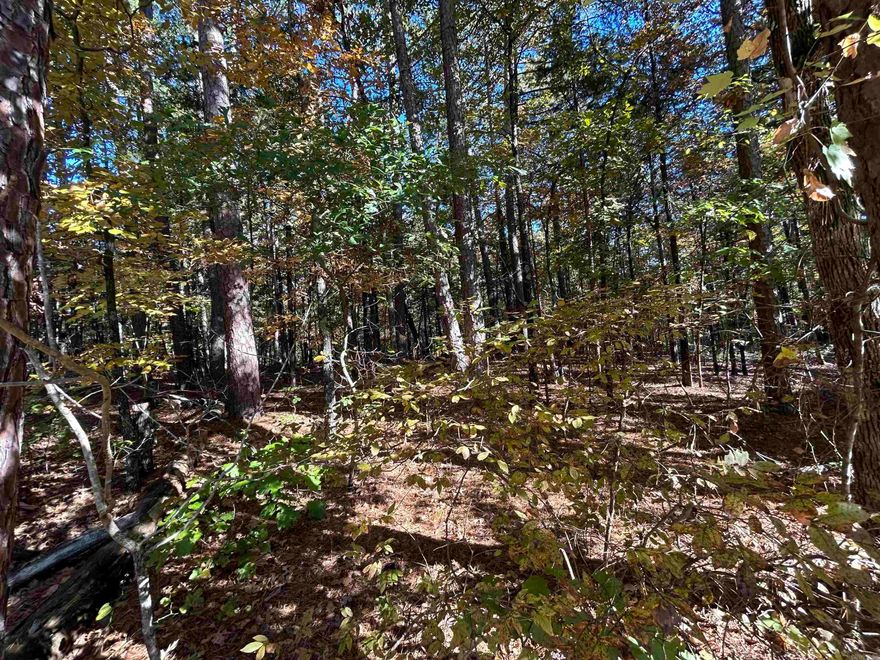 Nice quiet wooded lot in a resort area. Close to the lake and utilities available at the road.