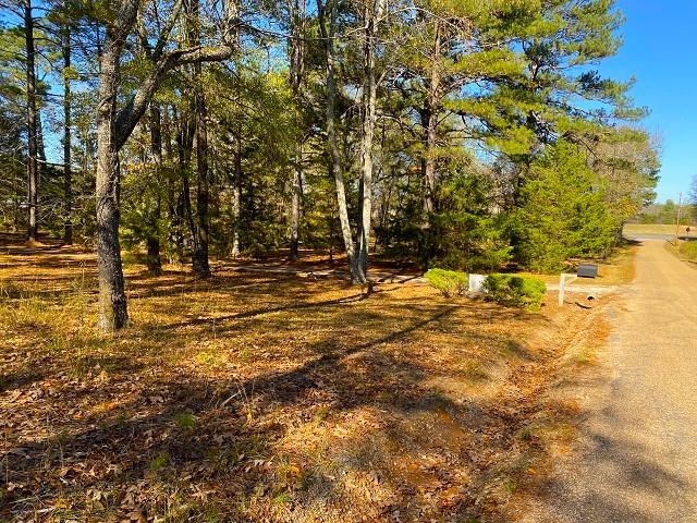 Rice - Commercial Sale