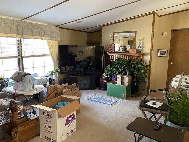 Rice - Commercial Sale