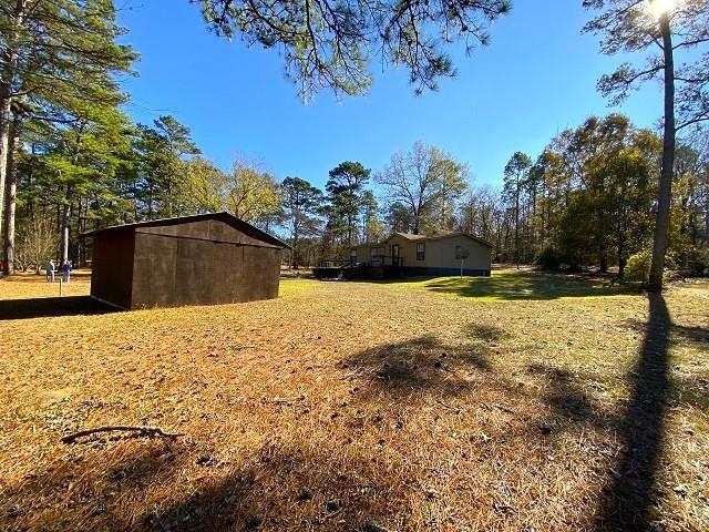 Rice - Commercial Sale