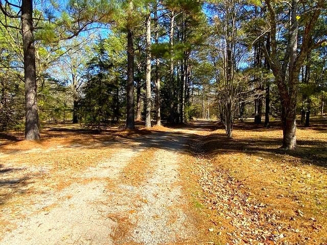 Rice - Commercial Sale